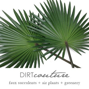 May include: Two large, vibrant green faux palm leaves with a fan-like structure are displayed against a white background. The leaves have a glossy finish and dark brown stems. The text "DIRTcouture" and "faux succulents + air plants + greenery" are at the bottom.