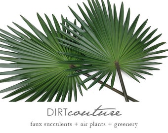 Palm, Fan palm leaf, faux, palm leaves, palm decor, tropical decor, Palmetto, palm floral