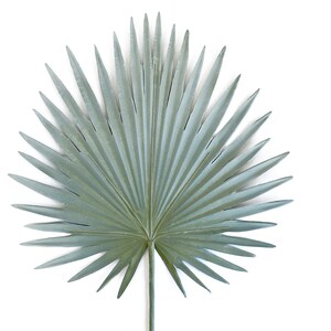 Palm, Fan palm leaf, dried look, faux, palm leaves, palm decor, tropical decor, Palmetto, palm floral image 6