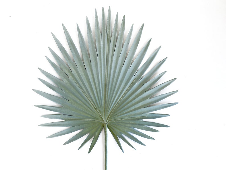 Palm, Fan palm leaf, dried look, faux, palm leaves, palm decor, tropical decor, Palmetto, palm floral image 6