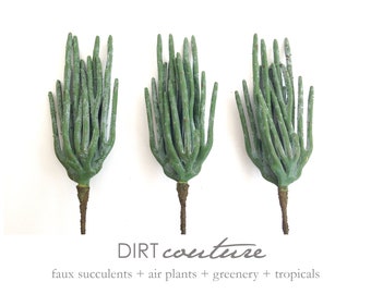 Euphorbia, pencil cactus, euphoria utopia, artificial plant, stick cactus, faux succulent