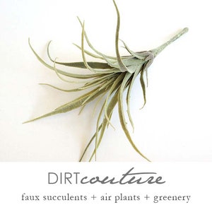 Faux Air plant, air plant, air plant, hanging air plant, tillandsia, Stricta, Tillandsia Tenuifolia image 1