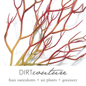 Faux fire stick pencil cactus, red, artificial plant, faux succulent, sticks on fire, Euphorbia tirucalli, succulent, red succulent, supply
