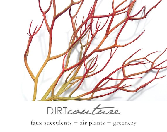 Faux fire stick pencil cactus, red, artificial plant, faux succulent, sticks on fire, Euphorbia tirucalli, succulent, red succulent, supply