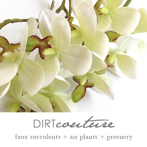 Orchid, Premium faux orchid flower, silk orchid, tropical plant, artificial orchid, phalaenopsis, white