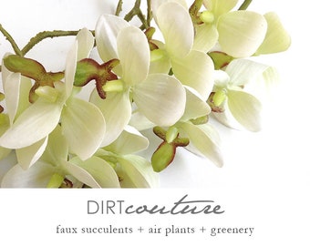 Orchid, Premium faux orchid flower, silk orchid, tropical plant, artificial orchid, phalaenopsis, white