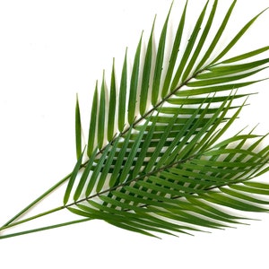 3 Palm Stems, artificial tropical plant, palm leaf image 4