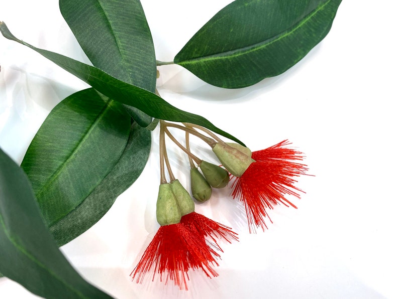 Flowering eucalyptus, faux, eucalyptus spray, eucalyptus leaves, eucalyptus flower, eucalyptus, faux eucalyptus, artificial eucalyptus, red image 8