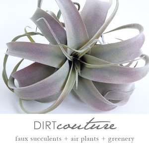 Large faux Xerographica, large air plant, tillandsia, faux tillandsia, artificial air plant