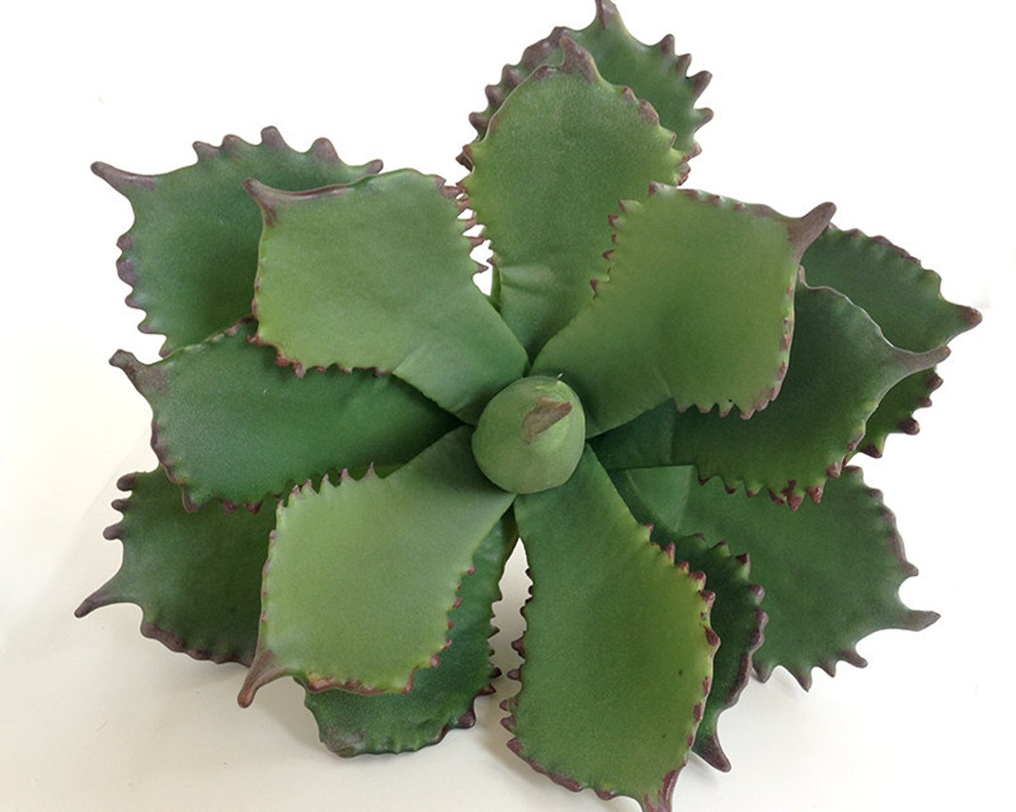 XLarge agave faux succulents agave agave plant faux Etsy