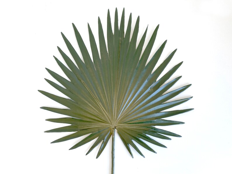 Palm, Fan palm leaf, dried look, faux, palm leaves, palm decor, tropical decor, Palmetto, palm floral image 8