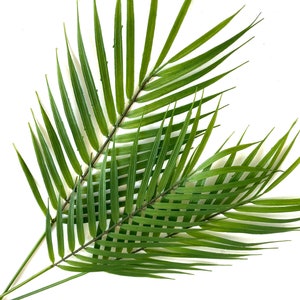 3 Palm Stems, artificial tropical plant, palm leaf image 6