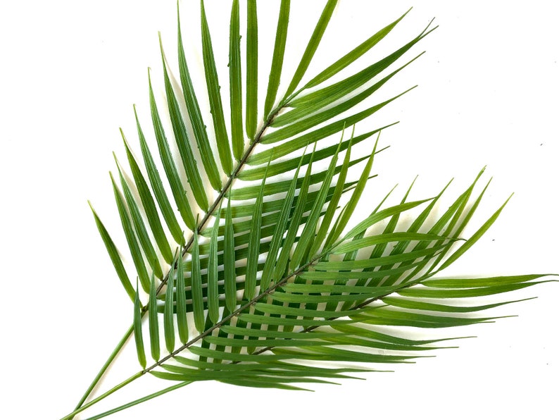 3 Palm Stems, artificial tropical plant, palm leaf image 6