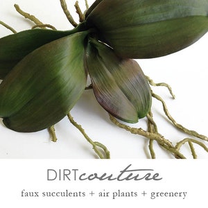 May include: A close-up of a faux orchid plant with green leaves and brown roots. The plant is on a white background. The text "DIRTcouture" and "faux succulents + air plants + greenery" is below the plant.