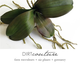 Faux orchid, orchid plant, phalaenopsis, orchid leaves, orchid roots, silk orchid, orchid plant