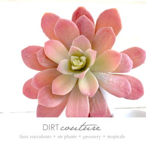 Large pink echeveria, aeonium, faux plant, succulent stem