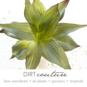 Faux agave, small agave, soft touch agave stem