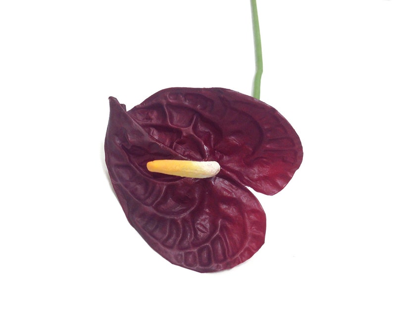 Small Anthurium Tropical Flower Burgundy Anthurium - Etsy
