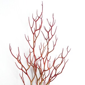 Red Faux Fire Stick Pencil Cactus, Euphorbia Tirucalli image 2