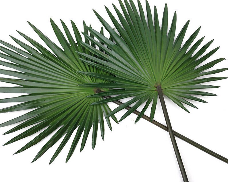 Palm Fan Palm Leaf Faux Palm Leaves Palm Decor Tropical Etsy