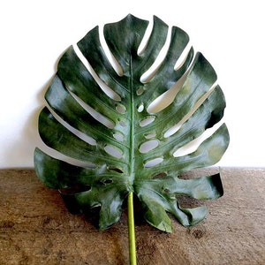 May include: A large, green, artificial monstera leaf with a textured surface. The leaf has many holes and is shaped like a heart.