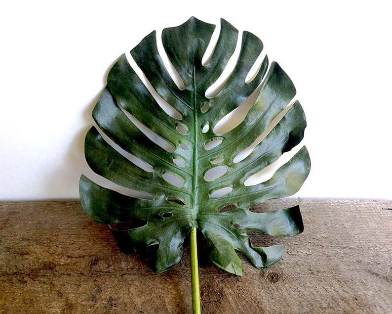 May include: A large, green, artificial monstera leaf with a textured surface. The leaf has many holes and is shaped like a heart.