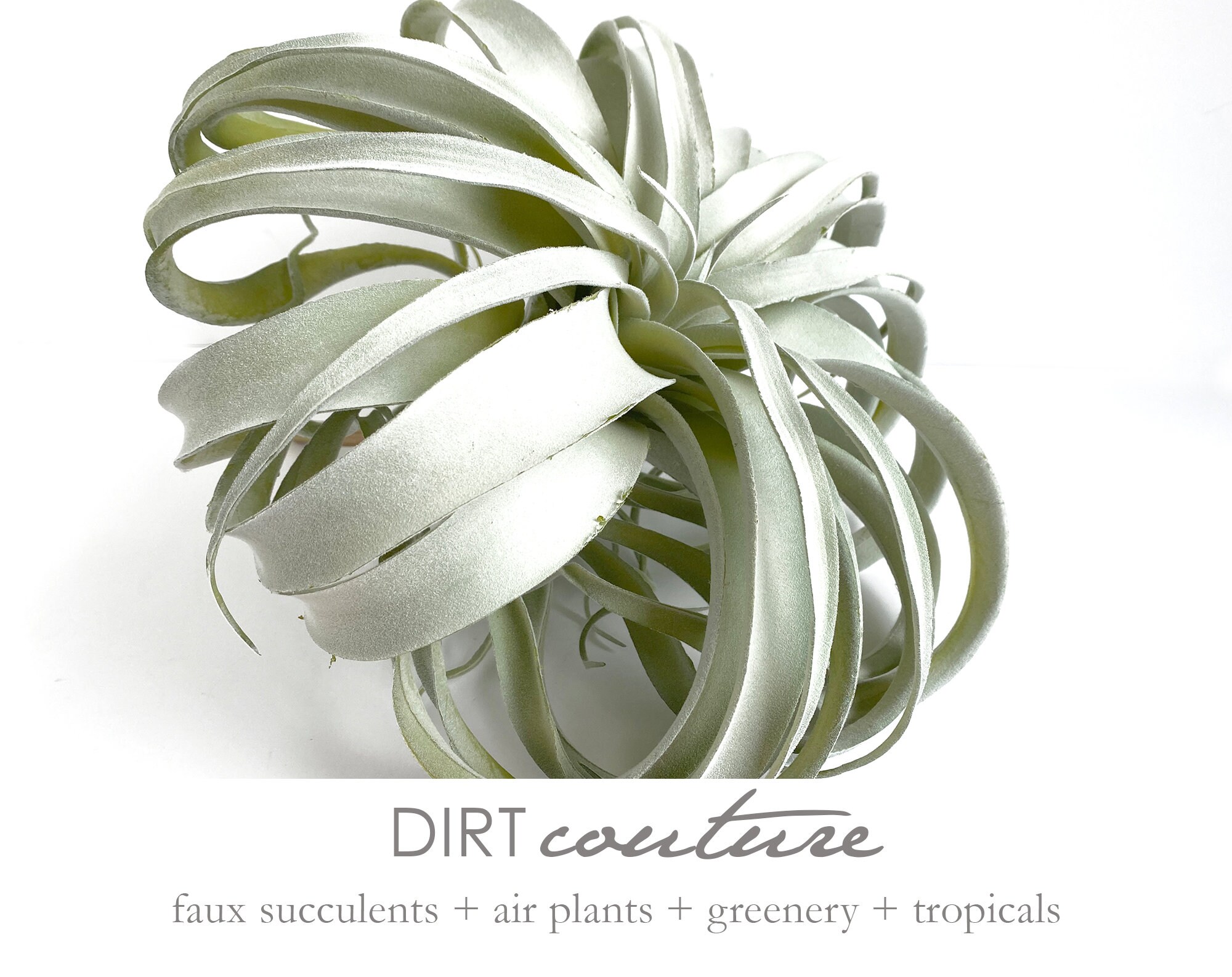 X-large faux Xerographica, large air plant, tillandsia, faux tillands…