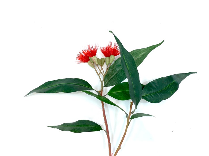 Flowering eucalyptus, faux, eucalyptus spray, eucalyptus leaves, eucalyptus flower, eucalyptus, faux eucalyptus, artificial eucalyptus, red image 9