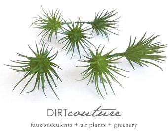 6 Mini Faux Air Plants, Tiny Tillandsia, Green Arrangements