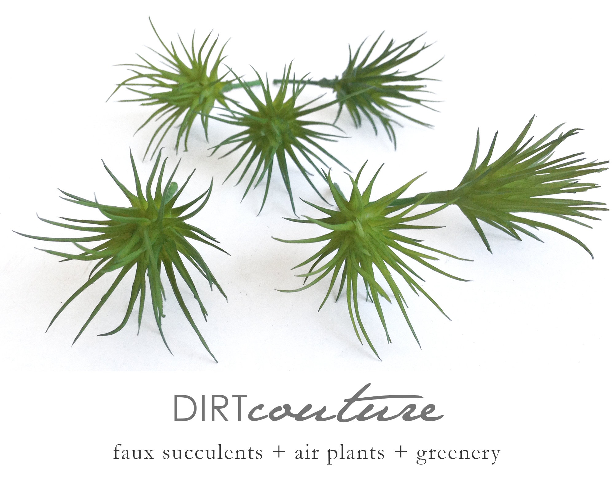 Airplants - Etsy