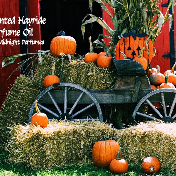 HAUNTED HAYRIDE Perfume Oil - Pumpkins, Roasted Marshmallows, Candy, Soft Hay, Frankincense - Gothic Perfume - Halloween Perfume,