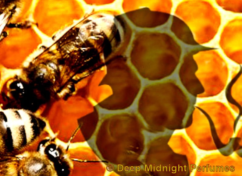 May include: A close-up of a honeycomb pattern with two bees on top. A silhouette of a person's head and shoulders is superimposed over the honeycomb, with a pipe coming out of their mouth.