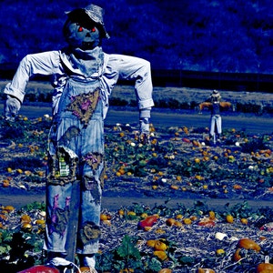 Scarecrow Crossing™ Perfume Oil - Acorns, Hay, Leaves, Soil, Licorice, and Dark, Strange Places - Halloween Perfume - Gothic Perfume