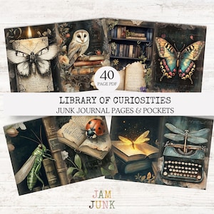 May include: A collage of vintage-style junk journal pages and pockets. The images feature butterflies, an owl, a ladybug, a dragonfly, and a typewriter. The text reads "Library of Curiosities" and "40 Page PDF".
