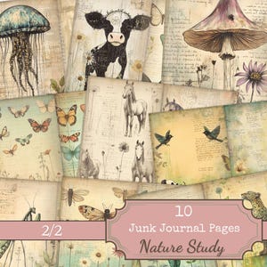 Pages de journal indésirable animaux shabby Chic, papier imprimable Nature Woodland, 10 pages de journal pliées, feuilles de journal indésirable animaux océaniques vintage