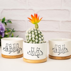 Può includere: Tre vasi in ceramica bianca con un disegno di gatto nero, ciascuno su una base rotonda in bambù. Un vaso contiene un cactus con un fiore arancione e giallo. I vasi sono disposti su una superficie bianca.
