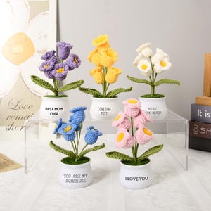 Könnte beinhalten: Eine Sammlung handgefertigter Häkelblumen in weißen Töpfen. Die Blumen sind in verschiedenen Farben erhältlich: Lila, Gelb, Weiß, Blau und Rosa. Jeder Topf trägt eine andere Botschaft: "Best Mom Ever", "Love You Mom", "You Are My Sunshine" und "I Love You".