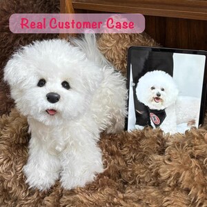 Custom Handmade Realistic Pet Plush, Personalized Cartoon-Style Pet Memorial Unique Keepsake for Pet Lovers Pet Appearance, Birthday Gift