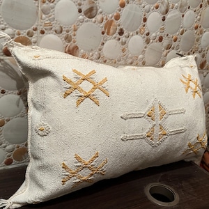 Moroccan Sabra Silk Pillow Cover | Handmade Cactus Silk Cushion 45x27 cm | Authentic Berber Home Decor