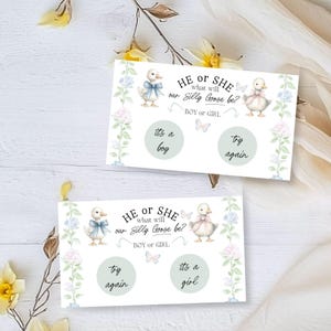 Cartes à gratter Silly Goose sexe, garçon ou fille sur le thème de l'oie, cartes à gratter, modèle Corjl imprimable et modifiable à faire soi-même, E2503
