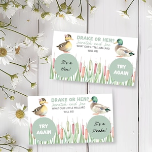 Cartes à gratter DIY imprimables Dandle it Be, canard, modèle modifiable Corjl, lui ou elle, vichy vert sauge, E2507
