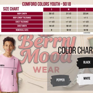 Chris Brown Breezy Bowl XX Shirt, Chris Brown Concert Tee, 2025 Tour