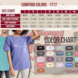 Chris Brown Breezy Bowl XX Shirt, Chris Brown Concert Tee, 2025 Tour