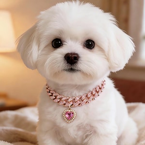 May include: A small, fluffy white dog wearing a pink jeweled collar with a heart-shaped pendant. The dog has dark eyes and a brown nose. The collar is a chain style with pink gemstones.