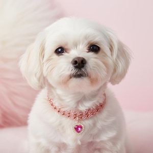 May include: A small white dog wearing a pink jewelled collar with a heart-shaped pendant. The collar is a chain design with pink gemstones. The dog has a fluffy coat and is set against a soft pink background.