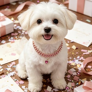 May include: A small, white dog wearing a pink chain collar with a heart pendant. The dog is sitting on a wooden surface with confetti and cards. The dog has a happy expression.