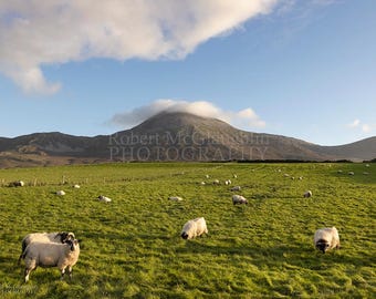 Croagh Patrick, Contea di Mayo - Irlanda - Stampa fotografica