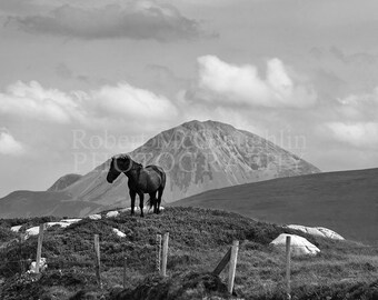 Black Beauty, Co. Donegal - Ireland Photography Horse Print
