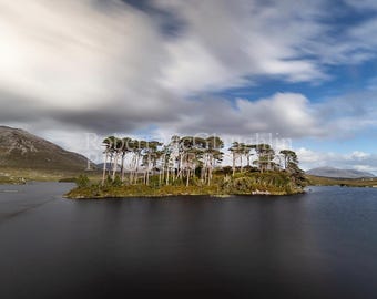 Pine Island, Connemara, Co. Galway - Ireland Photography Print