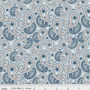 Super Star Blue Paisley by Zoe Pearn of My Mind&#39;s Eye for Riley Blake, 1/2 yard